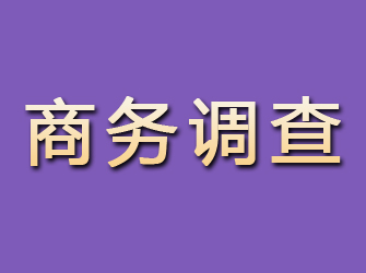 浈江商务调查